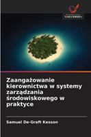 Zaangazowanie kierownictwa w systemy zarzadzania srodowiskowego w praktyce (Polish Edition) 6208880432 Book Cover