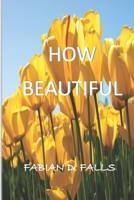 How Beautiful 1523791500 Book Cover