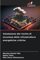 Valutazione del rischio di sicurezza delle infrastrutture energetiche critiche (Italian Edition) 6207175026 Book Cover