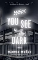 What You See in the Dark 1565125339 Book Cover