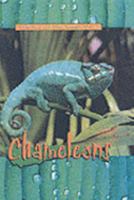 Chameleons (Animals of the Rain Forest) 0739846817 Book Cover