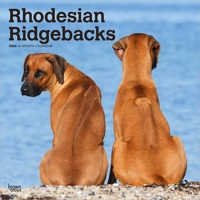 Rhodesian Ridgebacks 2026 12 X 24 Inch (Hanging) Monthly Square Wall Calendar Plastic-Free B0DYL96QGN Book Cover