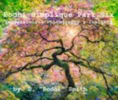 Bodhi Simplique Part Six Impressionist Photography And Insights 1006124039 Book Cover