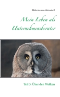 Mein Leben als Unternehmensberater: Teil 3: ?ber den Wolken 3753402567 Book Cover