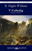 Y Colledig: Straeon Cyfrol I (Welsh Edition) 191723788X Book Cover