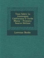 Tesis Sobre La Anemopsis Californica O Yerba Mansa 1019462027 Book Cover