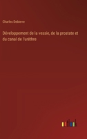 Développement de la vessie, de la prostate et du canal de l'uréthre 3385008271 Book Cover