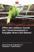 Effet des métaux lourds sur l'environnement à Enyigba Ikwo LGA Ebonyi 620572880X Book Cover