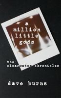 A million little gods: the clearwater chronicles 1484884051 Book Cover