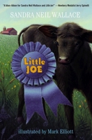 Little Joe 0375860975 Book Cover
