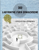 300 Labyrinthe Fuer Erwachsene Einfach Bis Extremes 1008998559 Book Cover