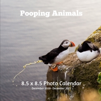 Pooping Animals 8.5 X 8.5 Calendar December 2020 - December 2021: Puffin Bird Cover - Monthly Calendar with U.S./UK/ ... Gift Idea White Elephant Party, Santa Secret B08R4FB6YK Book Cover