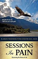 Sessions in Pain 1613793065 Book Cover