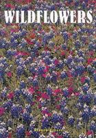Wildflowers: A Portrait of the Natural World 1577170288 Book Cover
