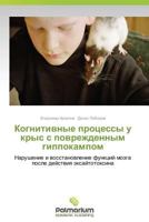 Kognitivnye protsessy u krys s povrezhdennym gippokampom: Narushenie i vosstanovlenie funktsiy mozga posle deystviya eksaytotoksina 3847394088 Book Cover