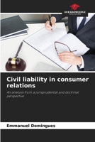 Civil liability in consumer relations 6206481409 Book Cover