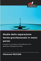 Studio della separazione termo-gravitazionale in mezzi porosi (Italian Edition) 6208281113 Book Cover