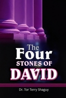 The Four Stones of David B0FFLXNVYQ Book Cover