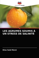 Les Agrumes Soumis À Un Stress de Salinité 6202736380 Book Cover