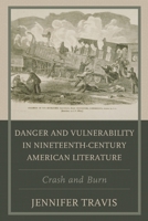 Danger and Vulnerability in Nineteenth-century American Literature: Crash and Burn 1498563430 Book Cover