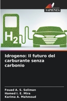 Idrogeno: Il futuro del carburante senza carbonio 6204120263 Book Cover