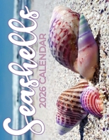 Seashells 2026 Calendar B0FP1W8Y49 Book Cover