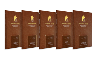 Piedras vivas: Evangelios y Hechos - La serie completa (Spanish Edition) B0DT8PC6N1 Book Cover