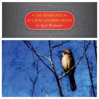 The Human Soul As A Rube Goldberg Device 0982525494 Book Cover