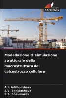 Modellazione di simulazione strutturale della macrostruttura del calcestruzzo cellulare 6205965917 Book Cover