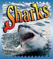 Sharks (Crabapples) 0865056374 Book Cover