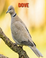Dove: Amazing Photos & Fun Facts Book About Dove For Kids B095WY6QLT Book Cover