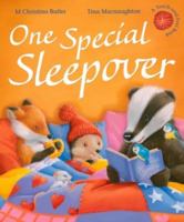 One Special Sleepover 1848958919 Book Cover