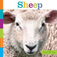 Sheep 1608187888 Book Cover
