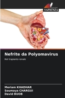 Nefrite da Polyomavirus: Nel trapianto renale 6205665638 Book Cover