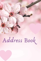 Address Book: Names Phone numbers & more Friends & Family  birthdays With names and addresses &  phone numbers and More  ; with beautiful designs & Glossy Cover & Nice design 1693615509 Book Cover