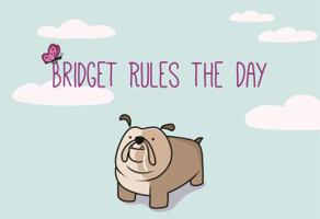 Bridget Rules the Day 0692069259 Book Cover