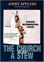 Church Is in a Stew: Developing Multicongregational Churches 0834113570 Book Cover