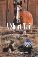 A Short Tail: The Adventures of Sirius, The Arabian 1638818126 Book Cover