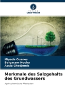 Merkmale des Salzgehalts des Grundwassers 6204088742 Book Cover