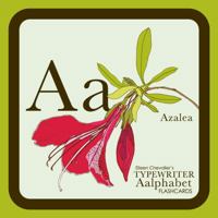 Eileen Chevalier's Typewriter Aalphabet Flashcards 1952704014 Book Cover