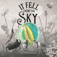 It Fell from the Sky B0GMZDCK9Y Book Cover