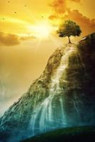 A Year Of Tarot: Daily Card Journaling 1720091803 Book Cover