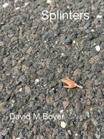 Splinters 1732508755 Book Cover
