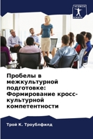 Пробелы в межкультурной 6205705826 Book Cover