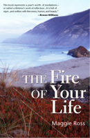 The Fire of Your Life 1596270519 Book Cover