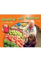 Shopping with Grandma 1418925527 Book Cover