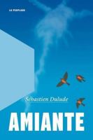 Amiante 2925416179 Book Cover