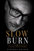Slow Burn: Dark, addictive stories of dominance, surrender, and raw attraction B0H11XFDT7 Book Cover