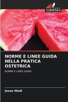 Norme E Linee Guida Nella Pratica Ostetrica (Italian Edition) 6209929036 Book Cover