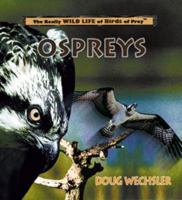 Ospreys 0823955974 Book Cover